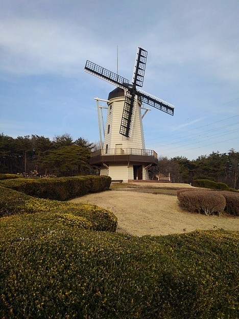 那須野が原公園の風車（1月23日）