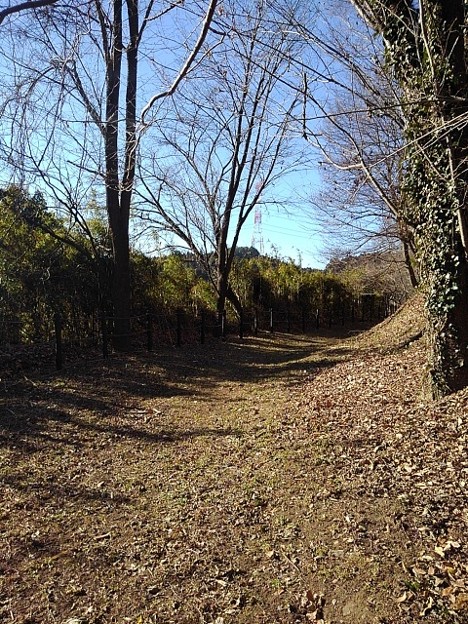 川崎城跡公園の丘の自然に近い道（1月19日）