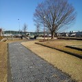 Photos: 小さな公園の石畳の道（1月16日）