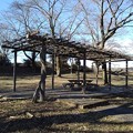 Photos: 川崎城跡公園の丘の藤棚の休憩所（1月19日）