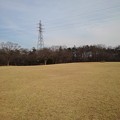 Photos: 那須野が原公園の芝生の広場（1月23日）