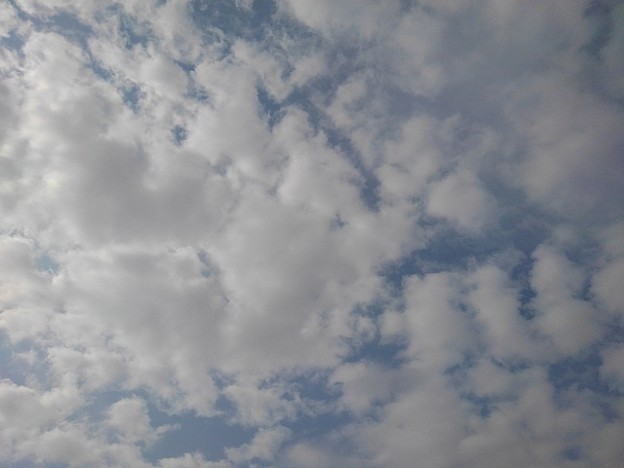 雲の多い空（3月7日）