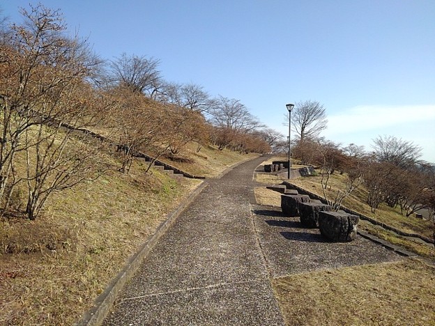 長峰公園の石のベンチのある景色（3月12日）