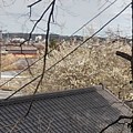 川崎城跡公園の丘の階段からの眺め（3月20日）