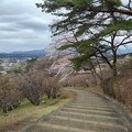 長峰公園の丘のカーブが綺麗な階段（4月3日）