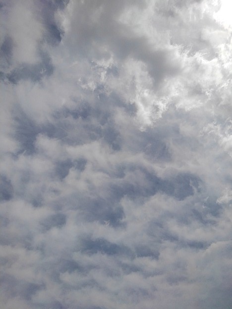 雲の多い空（4月1日）