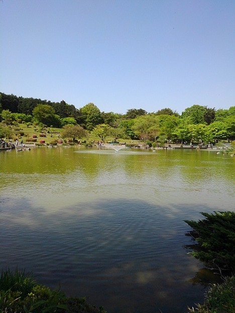 那須野が原公園の池の眺め（5月5日）