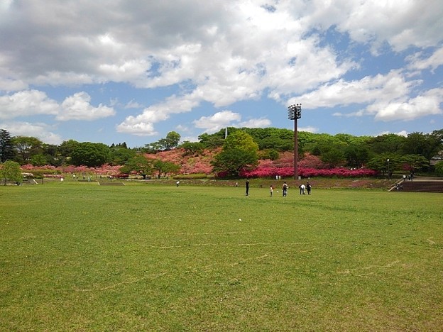 長峰公園の芝生広場（5月3日）