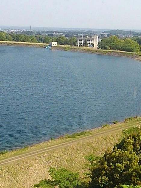 高所から見えた那須野が原公園の近くの溜め池（5月5日）
