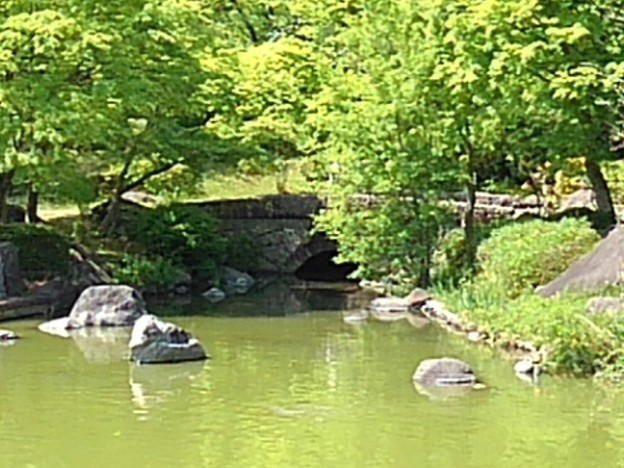 那須野が原公園の遠くに見える池の橋（5月5日）