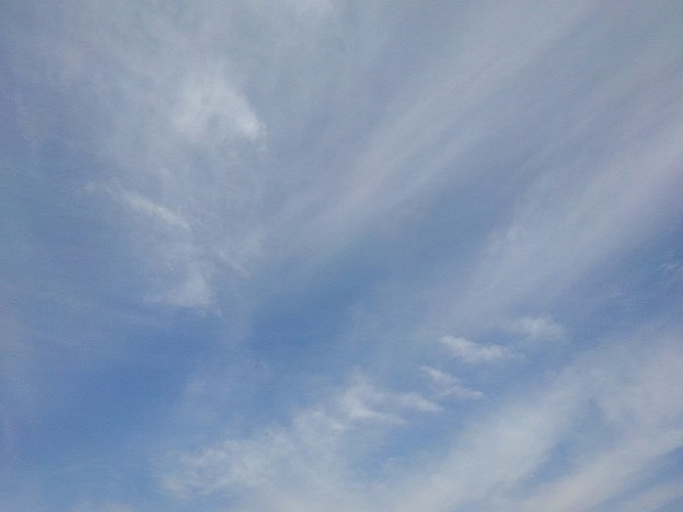 薄い雲もある空（5月11日）