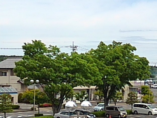 屋上駐車場から見えた街路樹（5月8日）