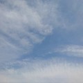 Photos: 薄い雲（5月15日）
