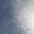 Photos: 鱗雲の出来はじめ（5月15日）