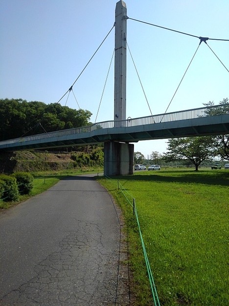 Photos: ゆうゆうパークの陸橋と歩道（5月4日）