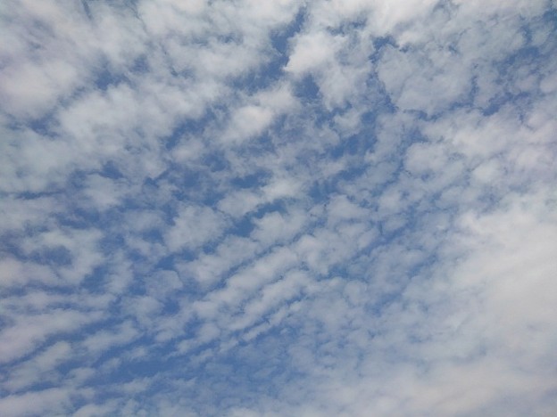 Photos: さざ波みたいな雲（5月15日）