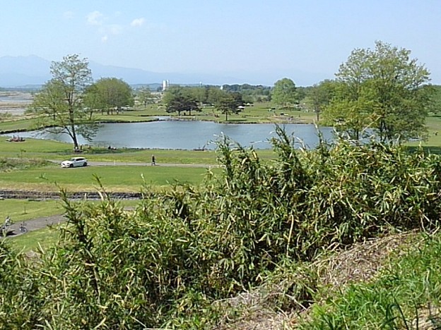 ゆうゆうパークの丘の上から見えた池（5月4日）