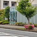 Photos: 街路樹とベンチ（6月11日）