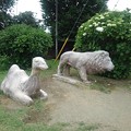 長峰公園の動物の像とアジサイ（6月18日）