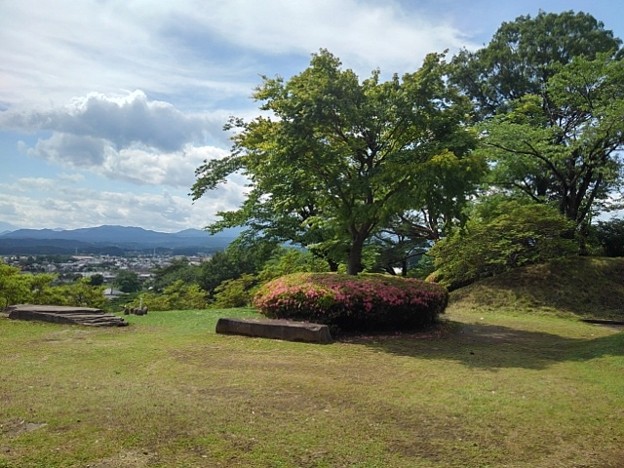 長峰公園の丘の上のモミジの木と奥の眺め（6月12日）