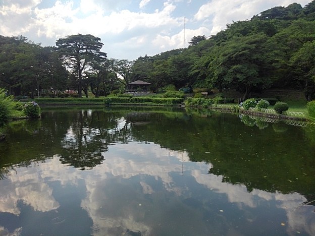 烏ヶ森公園の青空や雲が映り込む池の水面（6月25日）