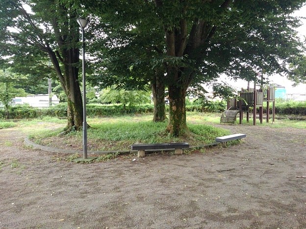 公園の植木とベンチ（7月16日）
