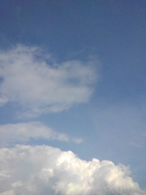 薄い雲と入道雲（8月16日）