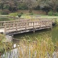 Photos: 烏ヶ森公園の池の橋（10月9日）