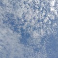 Photos: 淡い青空と鱗雲（9月22日）
