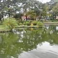 Photos: 烏ヶ森公園の池の小さな島（10月9日）
