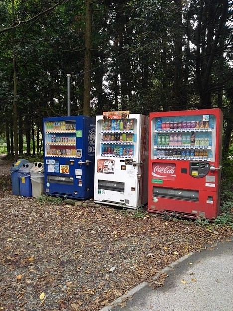森の自動販売機（10月9日）