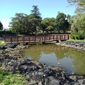 Photos: 長峰公園の池の橋（9月10日）