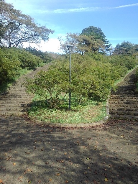 長峰公園の丘の階段の分岐点（9月25日）