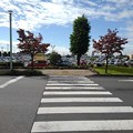 Photos: 済生会宇都宮病院の横断歩道（10月14日）