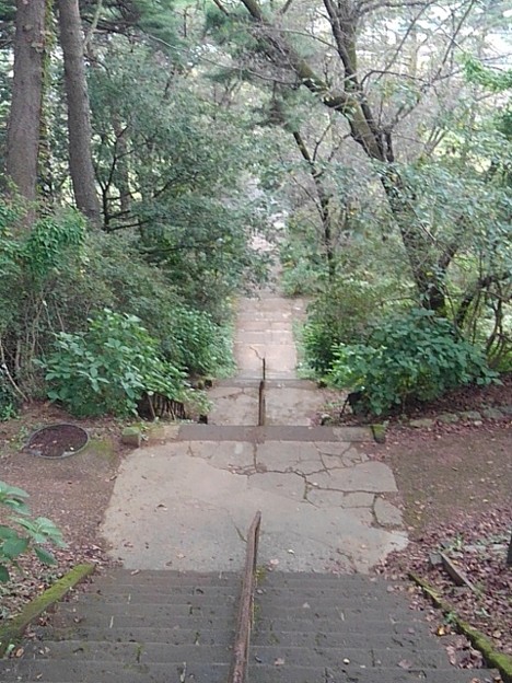 烏ヶ森公園の丘の急な階段（10月9日）
