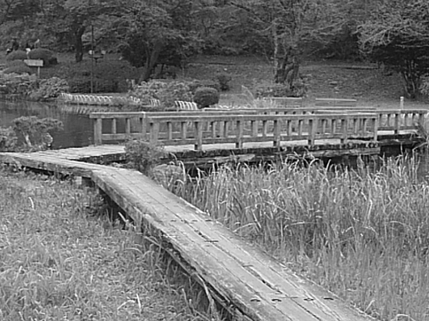 烏ヶ森公園の池のジグザグした橋・モノクロ（10月9日）