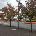 Photos: 矢板駅の近くの街路樹（10月14日）