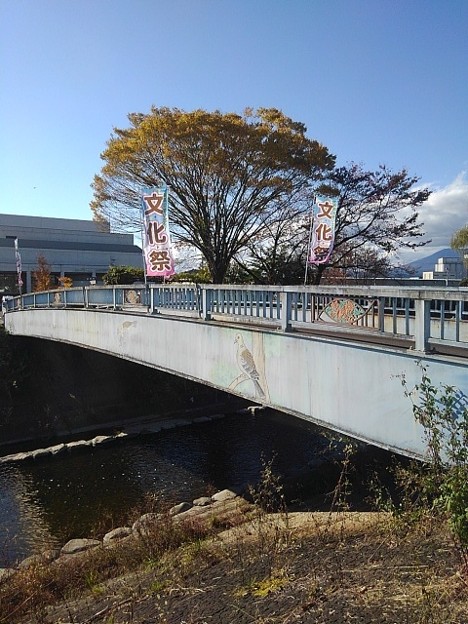 市役所近くの橋（11月2日）