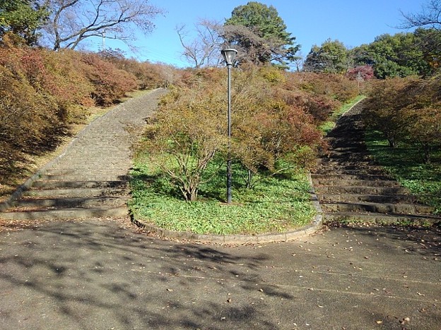 長峰公園の丘の階段の入口（11月6日）