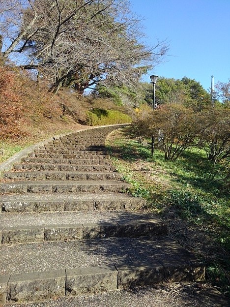 長峰公園のカーブが綺麗な階段（11月6日）