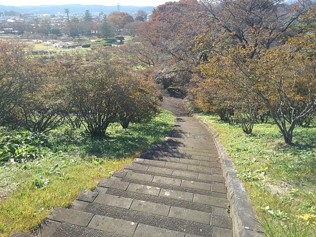 長峰公園の丘の下り階段（11月6日）