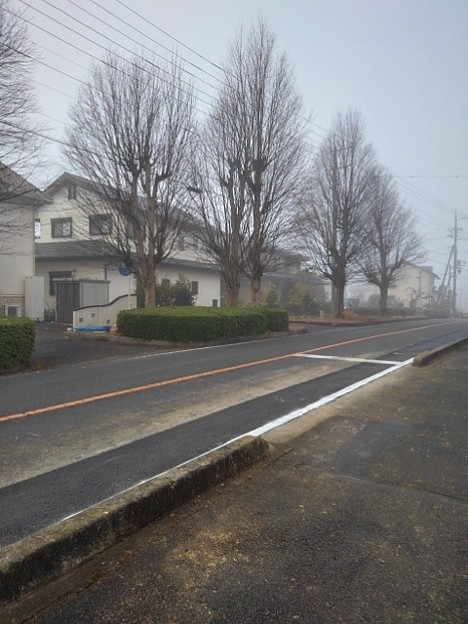 霧のある道路（11月22日）