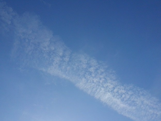 薄い飛行機雲（11月22日）