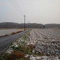 Photos: 水田地帯の道路（12月6日）