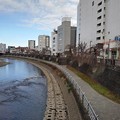 Photos: 宇都宮の川岸（12月9日）