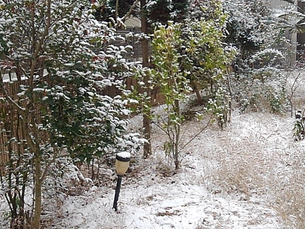 雪の庭（12月24日）