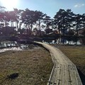 Photos: 烏ヶ森公園の池の遊歩道と橋（11月18日）