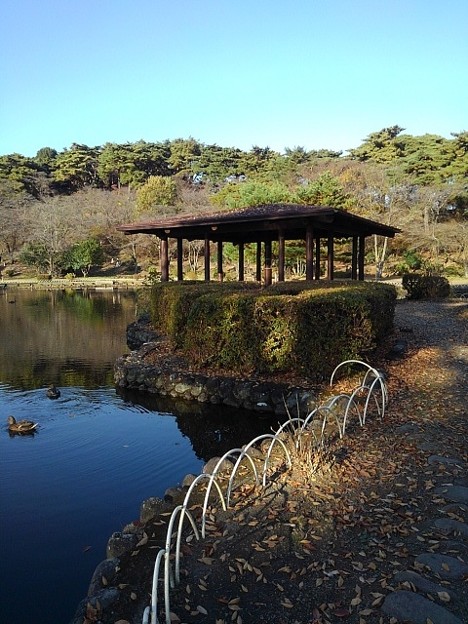 烏ヶ森公園の休憩所と青い池（11月18日）