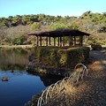 Photos: 烏ヶ森公園の休憩所と青い池（11月18日）