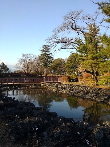 長峰公園の池の橋（12月10日）